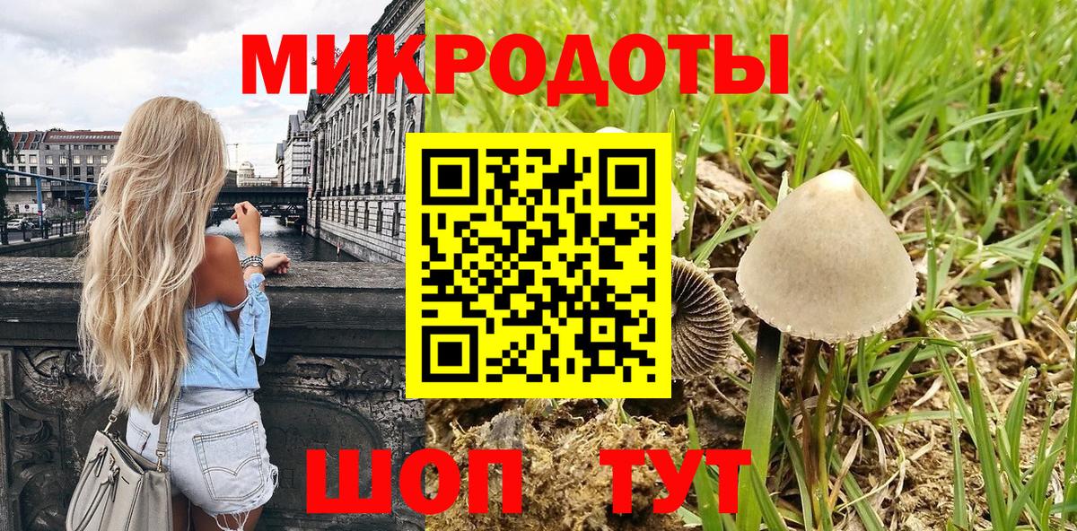 Нарткала  Псилоцибиновые грибы Magic Shrooms  Вход с VPN 