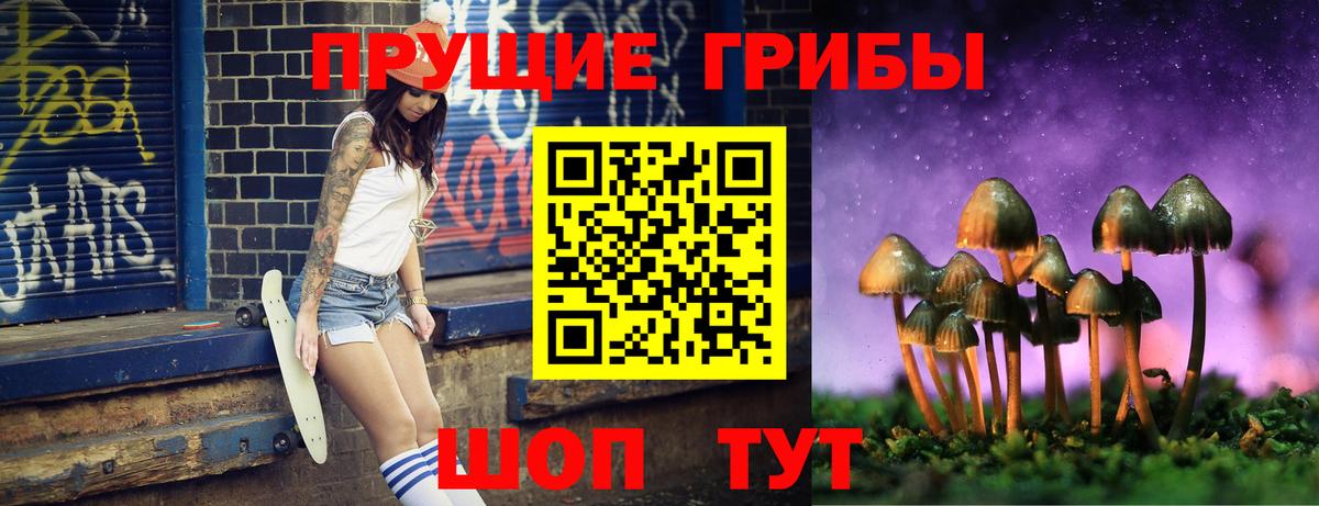 Псилоцибиновые грибы Psilocybe Нарткала